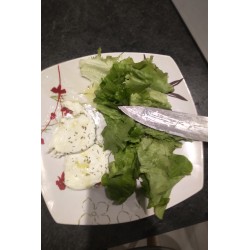 Mozzarella di Bufala du Tarn et Garonne