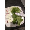 Mozzarella di Bufala du Tarn et Garonne