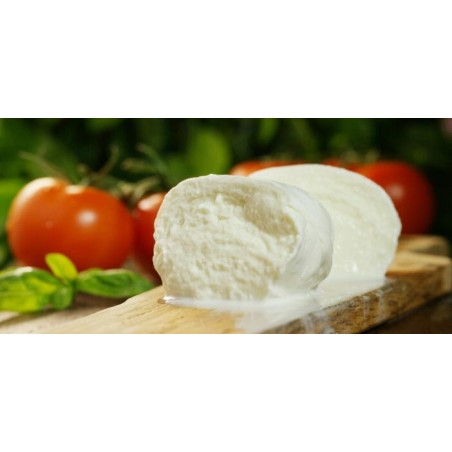 Mozzarella di Bufala du Tarn et Garonne